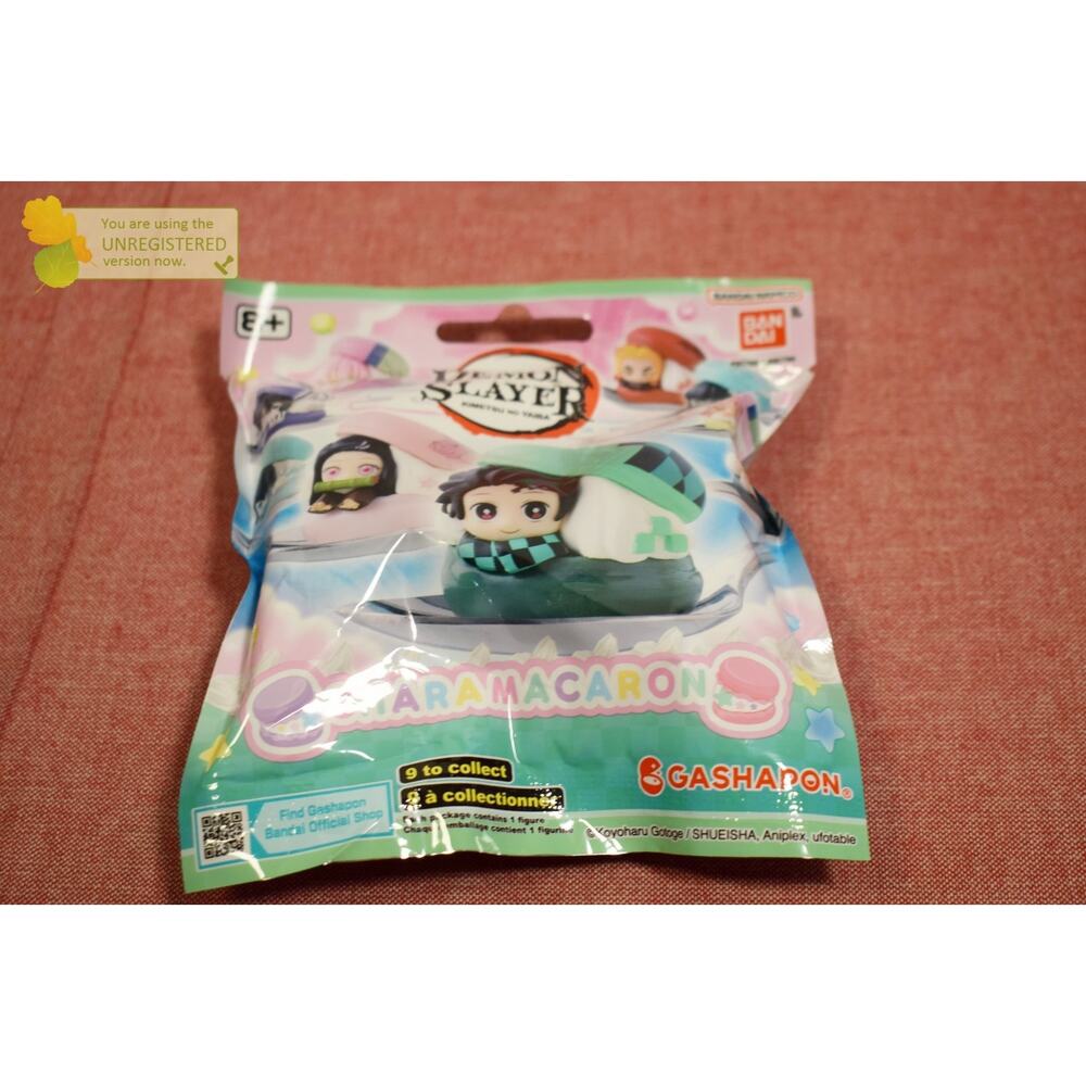 Demon Slayer Chara Macaron Surprise Pack